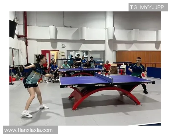 成都乒乓球队技术表现的数据分析与提升策略研究