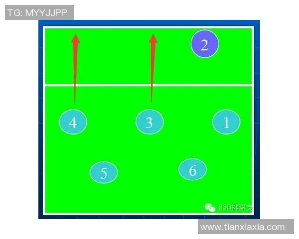 深圳排球队的战术分析与控制得失对比赛结果的影响探讨
