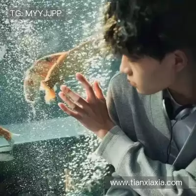 皮蝶研