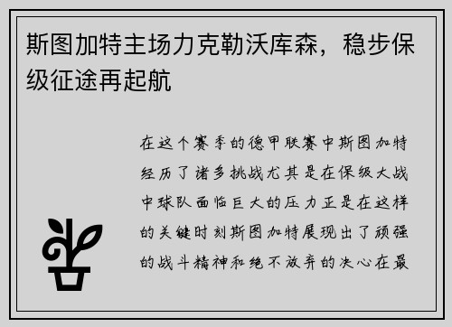 斯图加特主场力克勒沃库森，稳步保级征途再起航